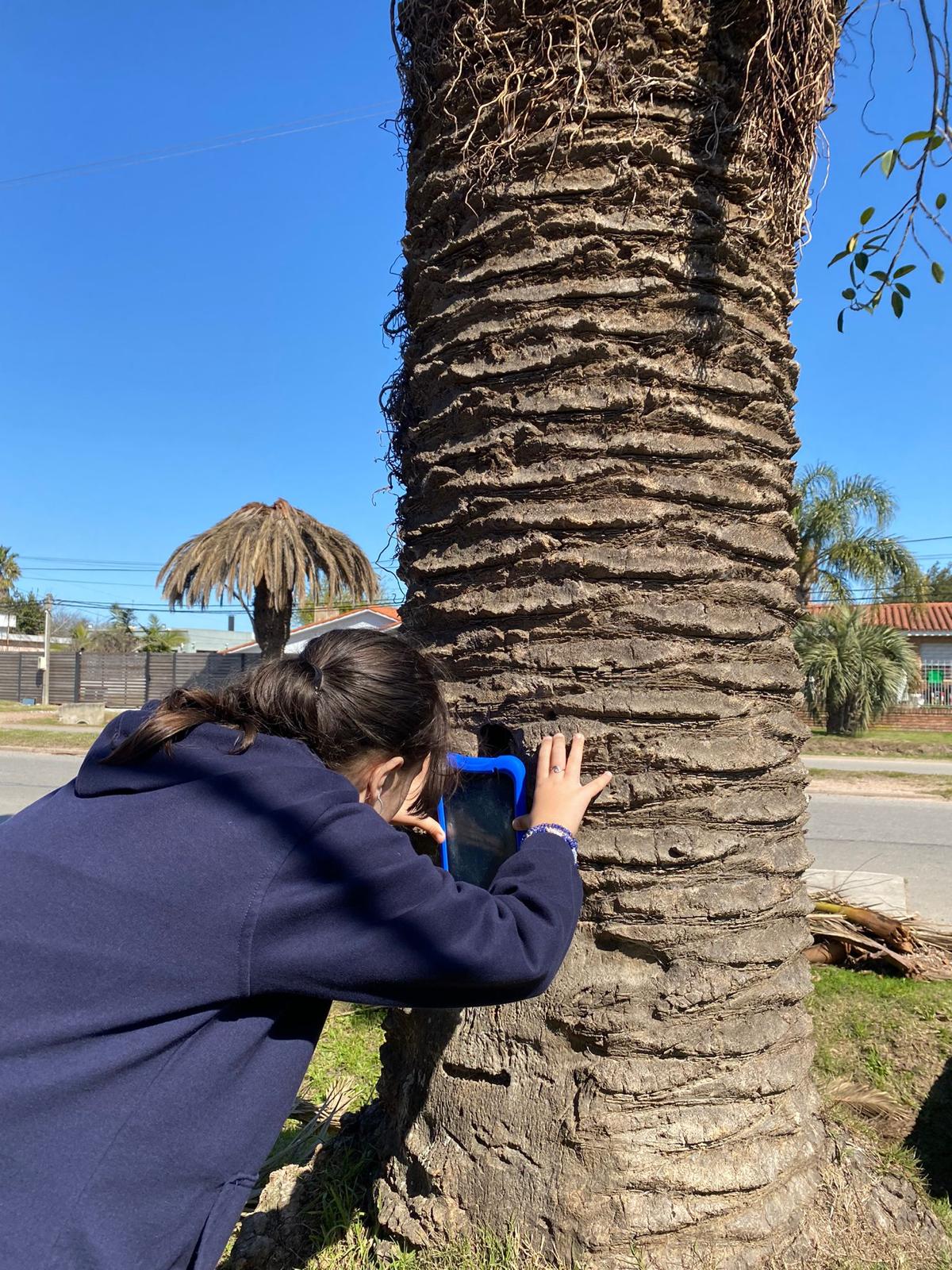 Proyecto Santa Elena - Placa de Sonido 3