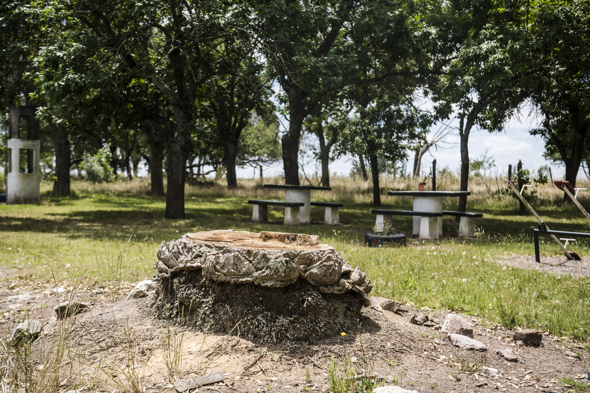 Dispositivo Robótico Tala - Imagen 2