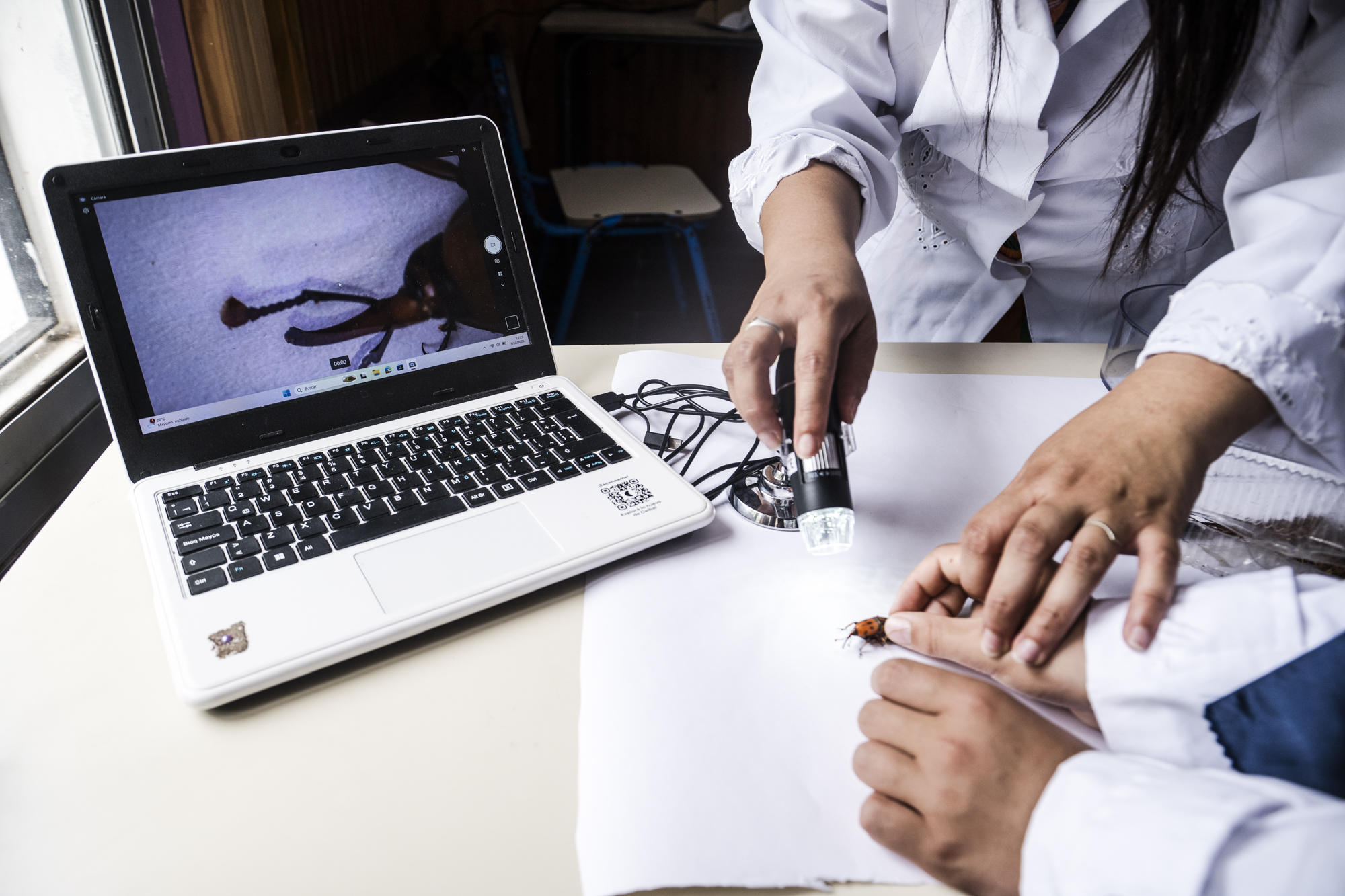 Dispositivo Robótico Tala - Imagen 4