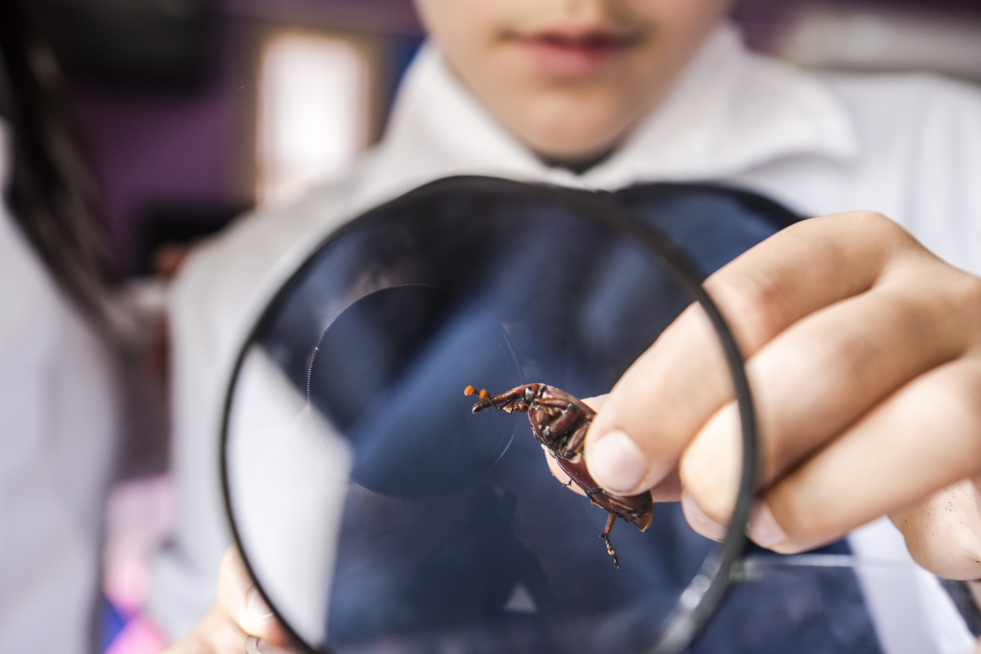 Dispositivo Robótico Tala - Imagen 5