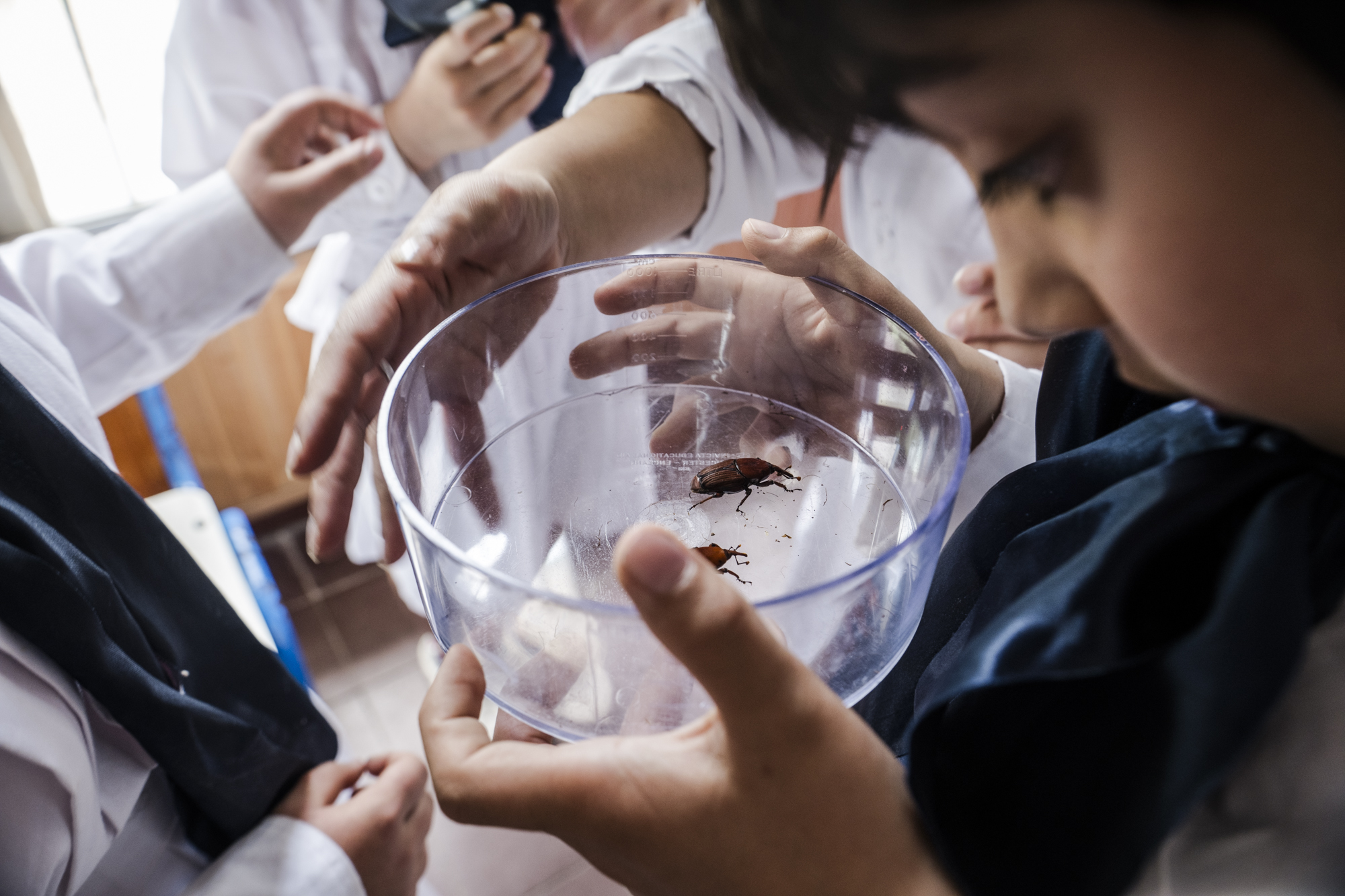 Dispositivo Robótico Tala - Imagen 6