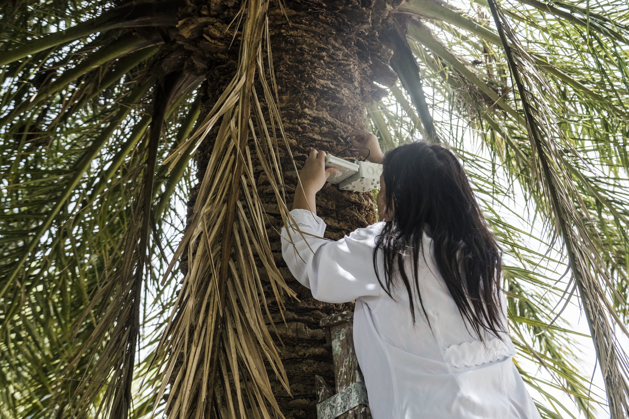 Dispositivo Robótico Tala - Imagen 8