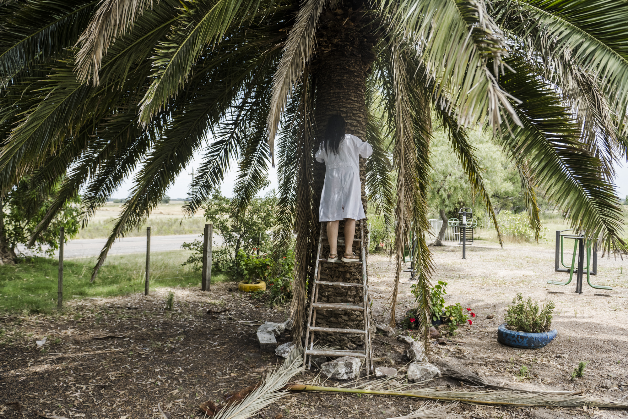 Dispositivo Robótico Tala - Imagen 9